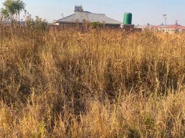 Stands & Residential Land