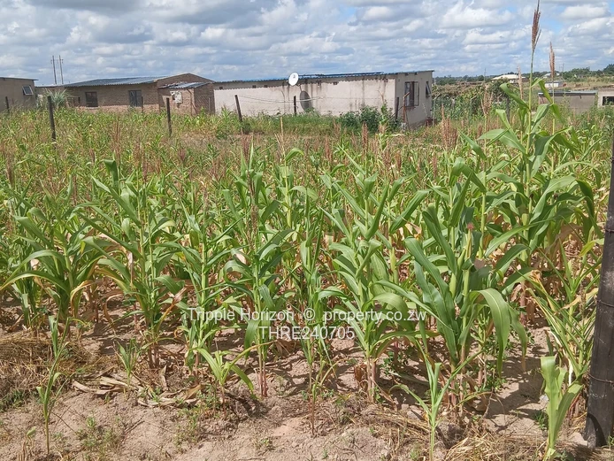 Stoneridge Stands For Sale (2) (Sole Mandate)