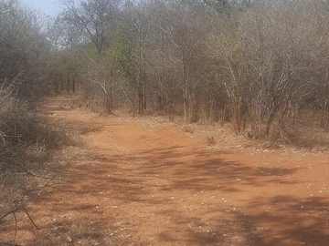 Farm & Agricultural Land