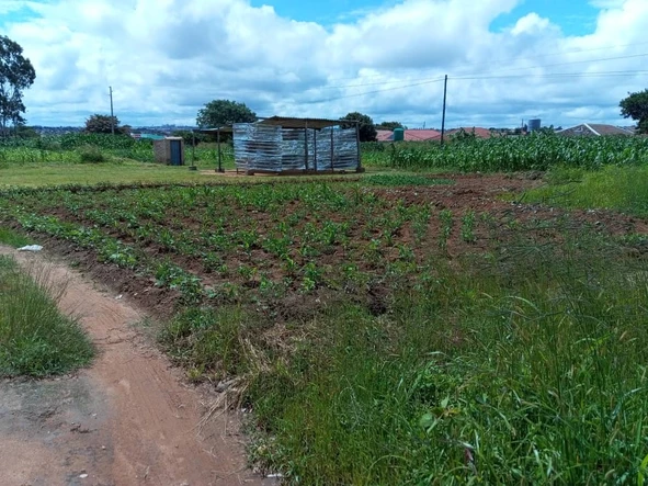 Commercial & Industrial Land