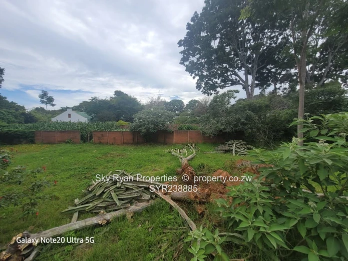 BORROWDALE  - SAM LEVY for sale 