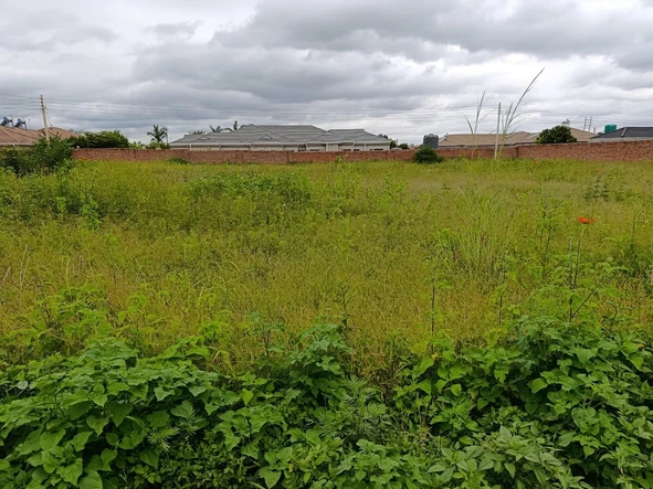 Stands & Residential Land