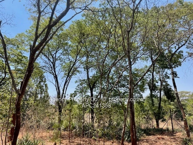 Ripe For Development