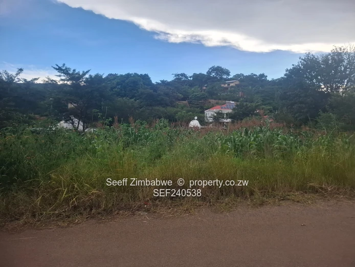 2,200sqm with Title Deed (Sole Mandate)