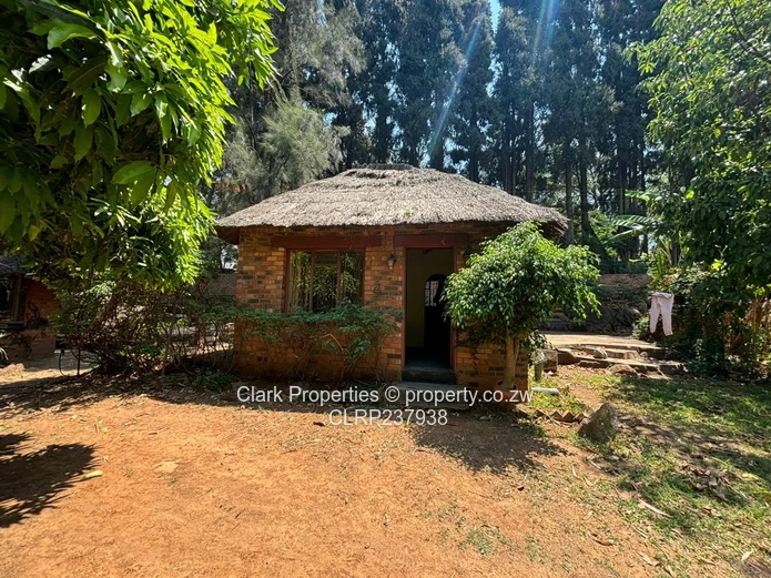 Spacious One-Acre Property with Unique Thatched Residence