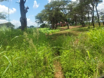 Farm & Agricultural Land