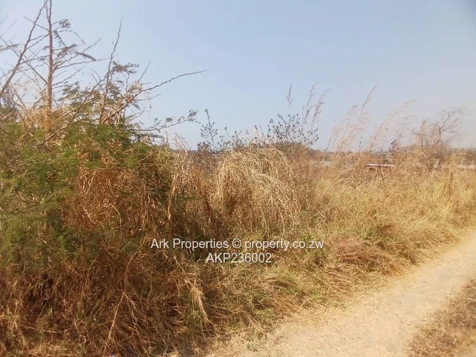 Stand in Charlotte Brooke 