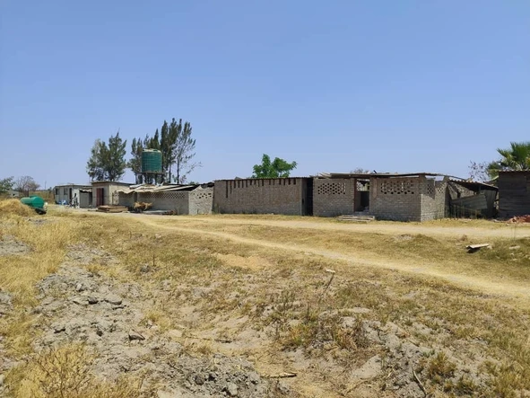 Stands & Residential Land