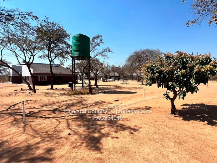 Prime Plot on the Main Road