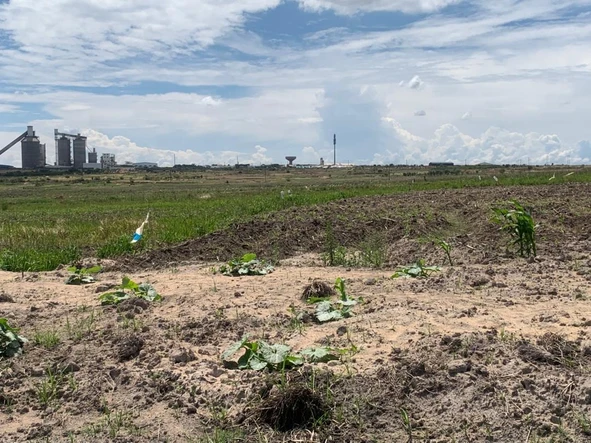 Commercial & Industrial Land