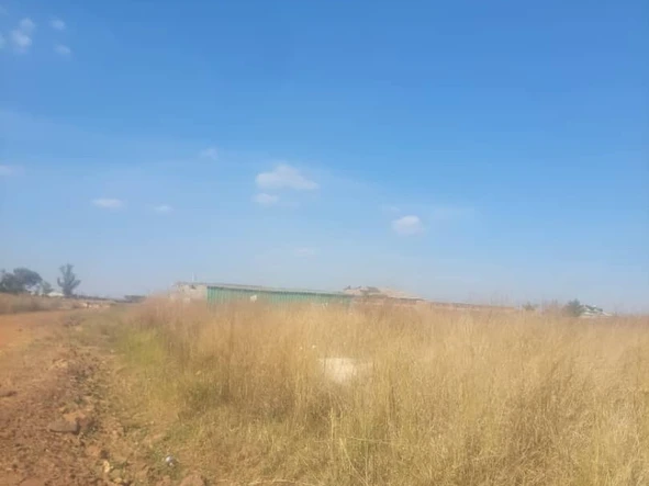 Stands & Residential Land