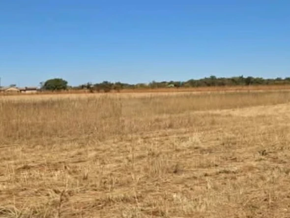 Farm & Agricultural Land