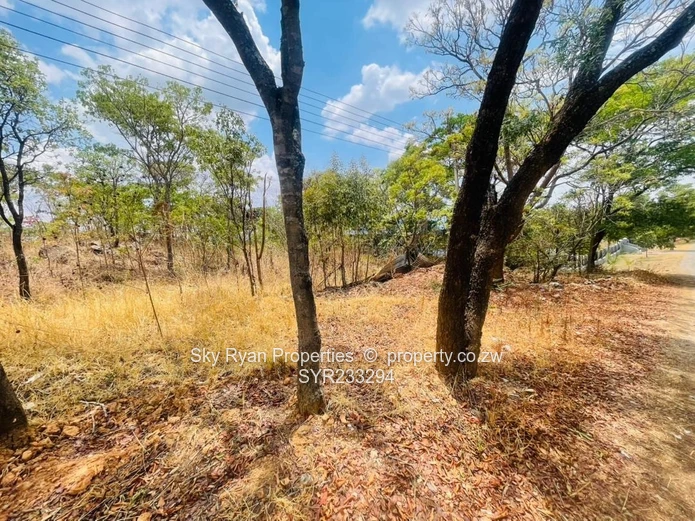 Glen Lorne  Stand For Sale (Sole Mandate)