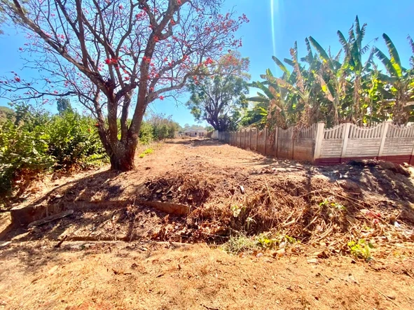 Stands & Residential Land