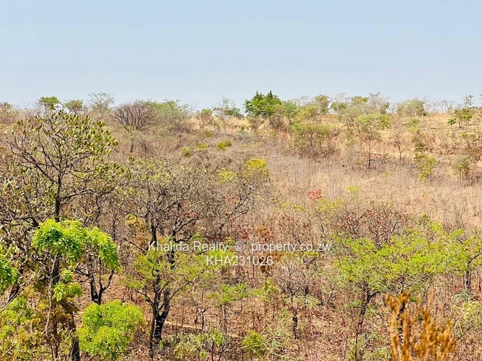 Pomona Stand For Sale  Wild Geese UZ project