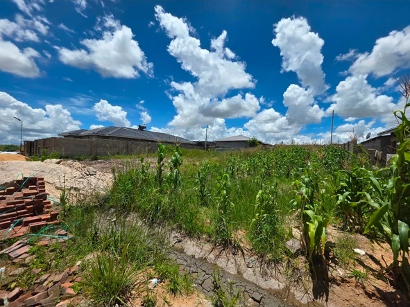 Stands & Residential Land