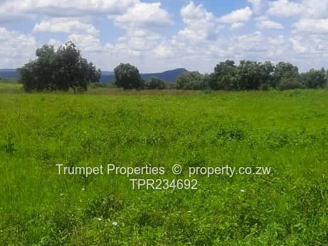 10ha Chegutu Farm - Lush Green Pasture & Hill Views (Sole Mandate)