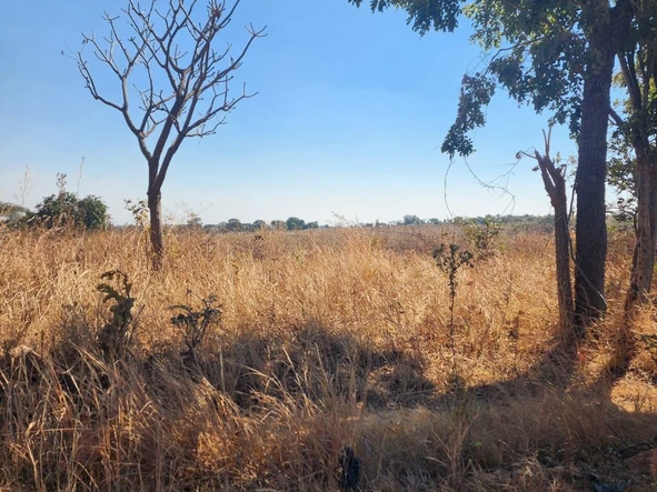Farm & Agricultural Land
