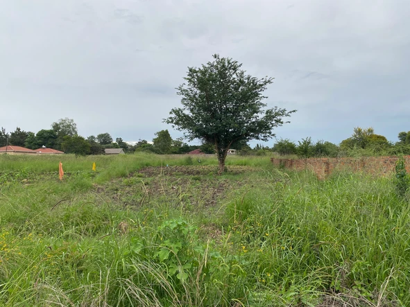 Stands & Residential Land