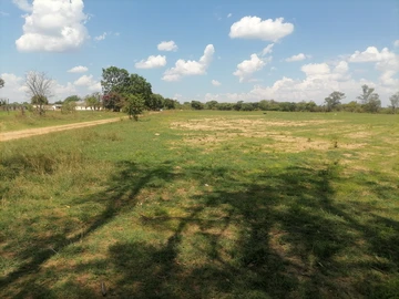 Farm & Agricultural Land