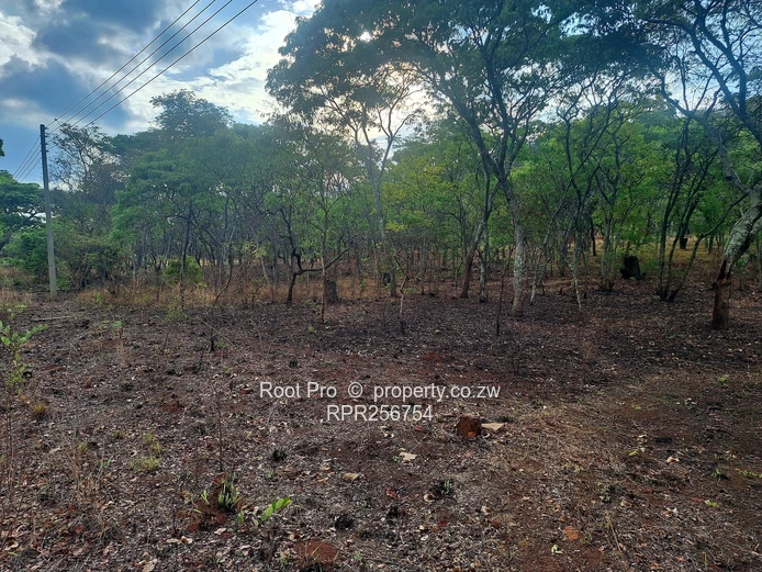 Well-treed Lake Chivero Stand (taking mortgage). . . (Sole Mandate)