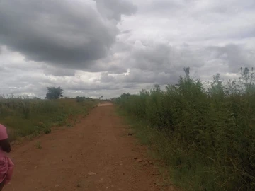 Farm & Agricultural Land