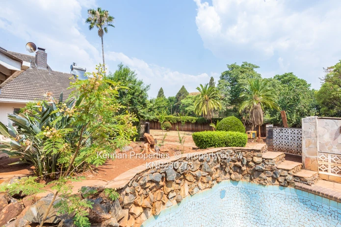 Potential On Arcturus Road - Nostro!