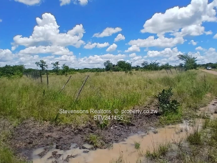 Clonmoran Stands, Halfway Road, Kadoma
