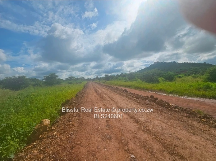 Stands for sale in Doornfontein 