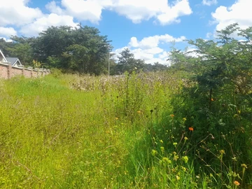 Stands & Residential Land