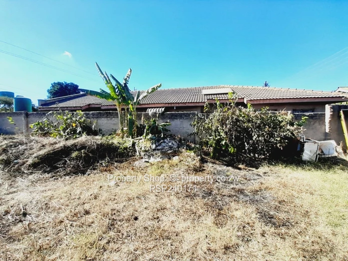 Damofall Phase 1 Stand for Sale