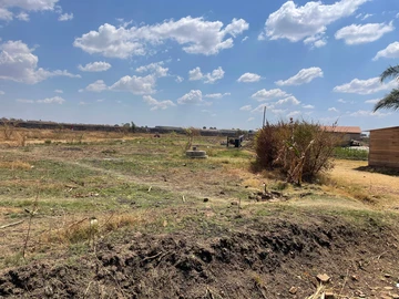 Stands & Residential Land