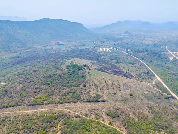 Farm & Agricultural Land
