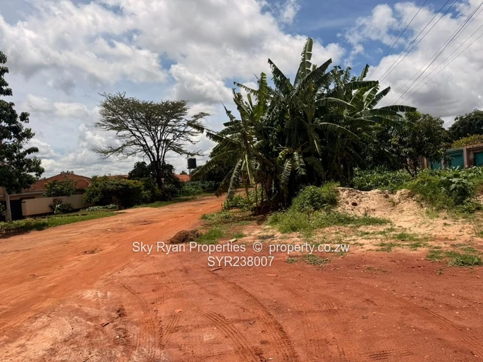 Cold Comfort Stand For Sale