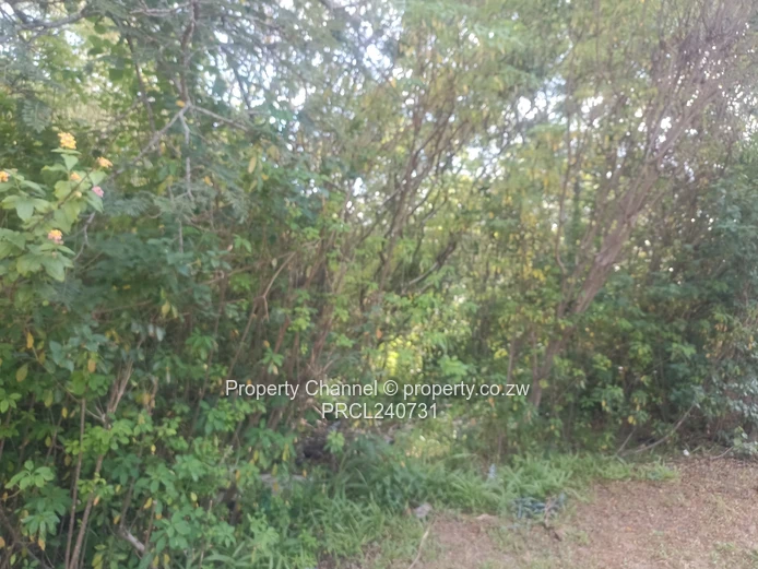 Residential Stand in Glen Lorne meauring 5118 sqm with Title Deeds 