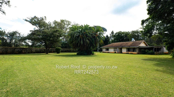 Family Home In The Heart Of Mt Pleasant (Sole Mandate)