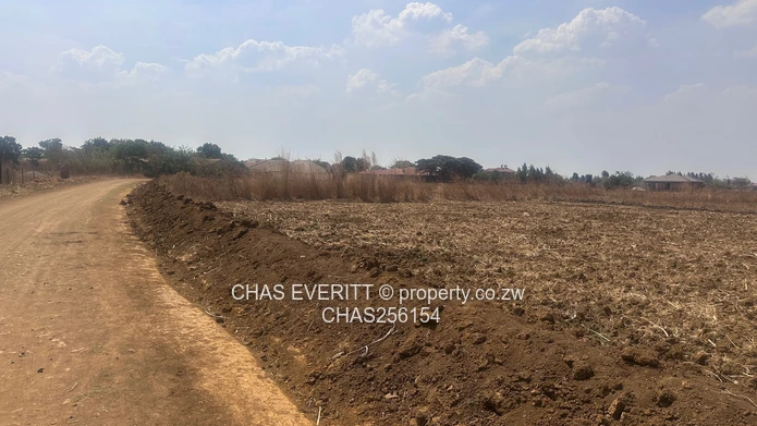Norton Knowe Phase 4