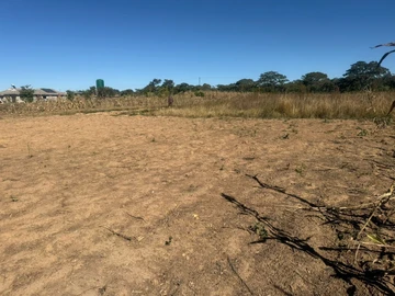 Farm & Agricultural Land