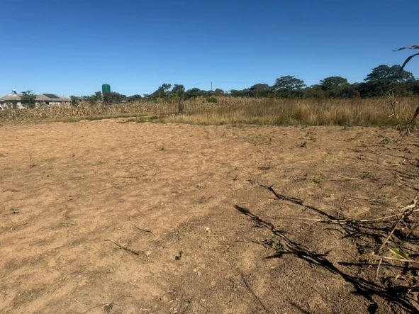 Farm & Agricultural Land