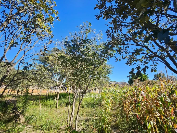 Marondera 2016m² Stand — Main Road Frontage & Subdivision Potential