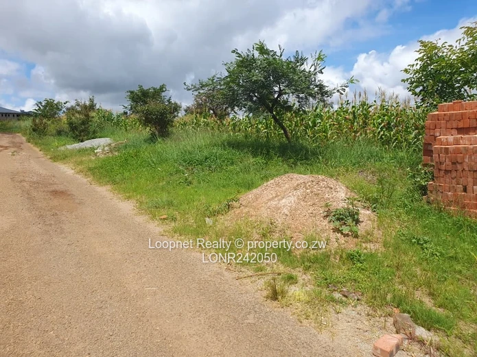 Subdivided Stands For Sale