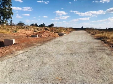 Stands & Residential Land