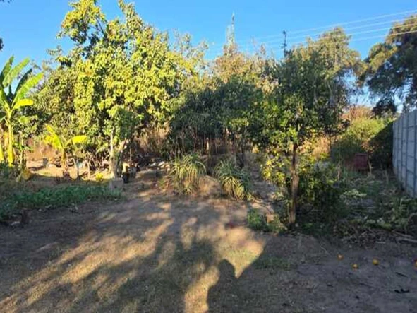 Stands & Residential Land