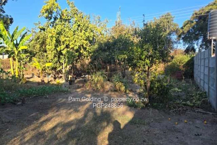 Treed 2800m² Prospect Stand — Subdivision Potential (Sole Mandate)