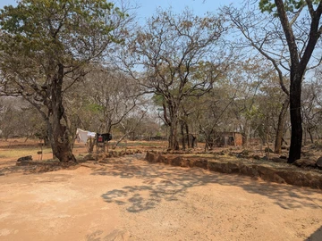 Farm & Agricultural Land
