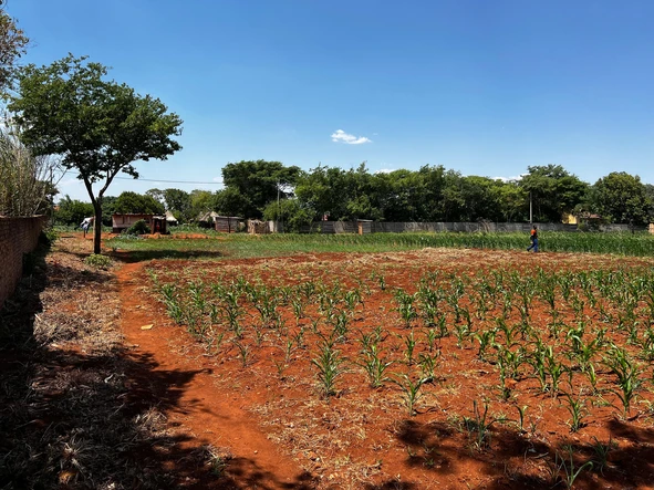 Stands & Residential Land