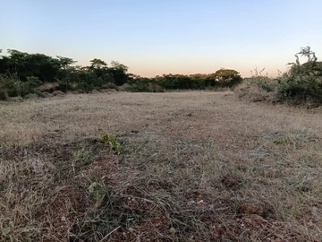 Farm & Agricultural Land