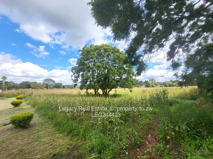 Choice of 8 Stands for sale in Borrowdale Quinnington