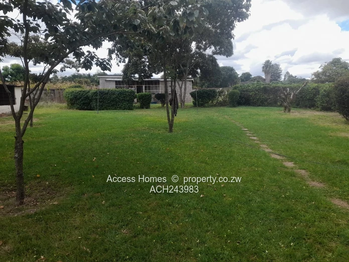 Hatfield Stand for Sale