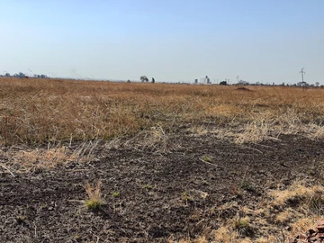 Stands & Residential Land